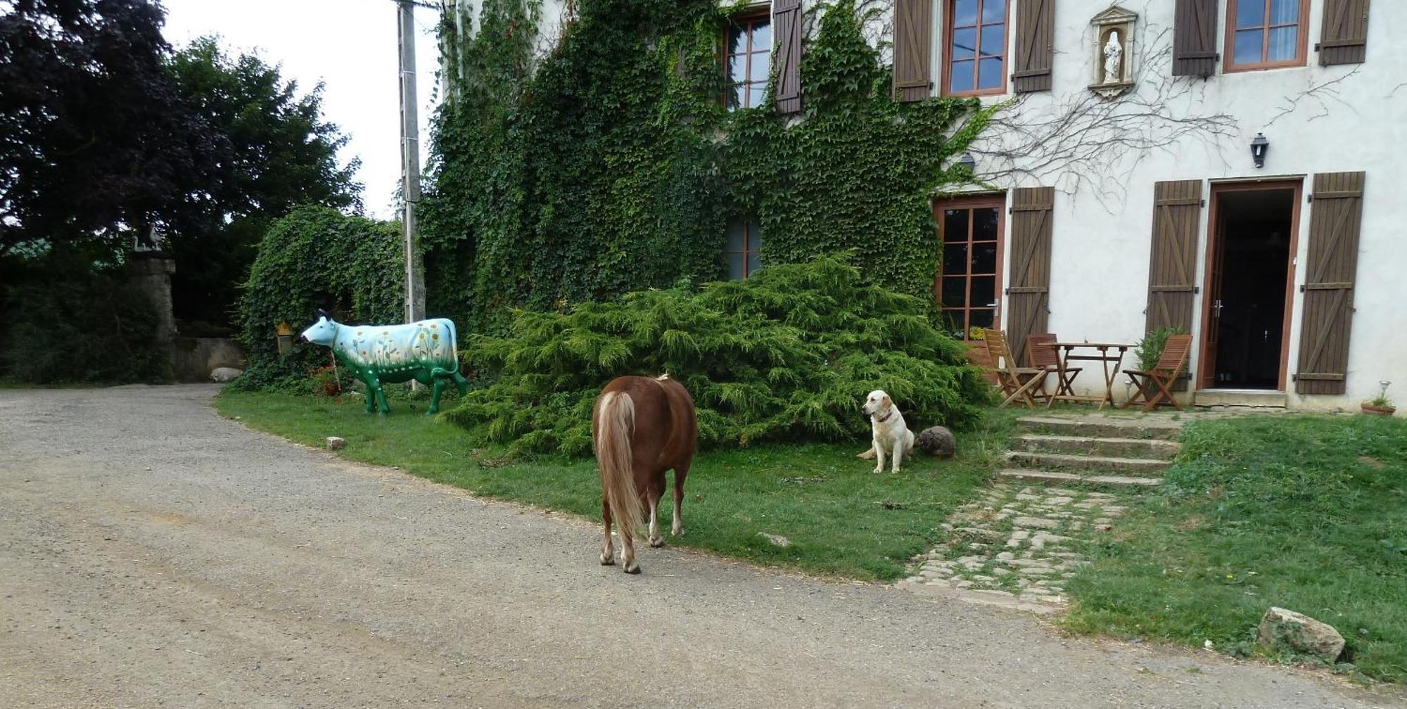Bed and Breakfast Ferme Du Montheu Dommartin sous Amance Exterior foto